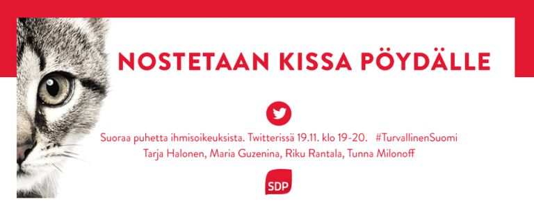Nostetaan kissa pöydälle