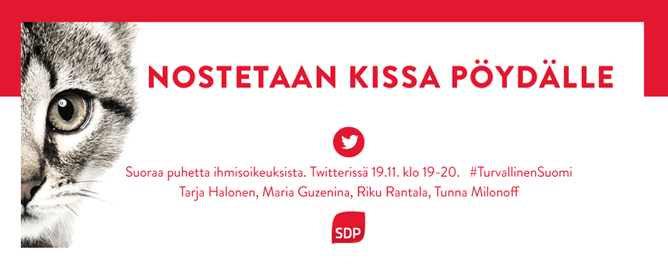 Nostetaan kissa pöydälle