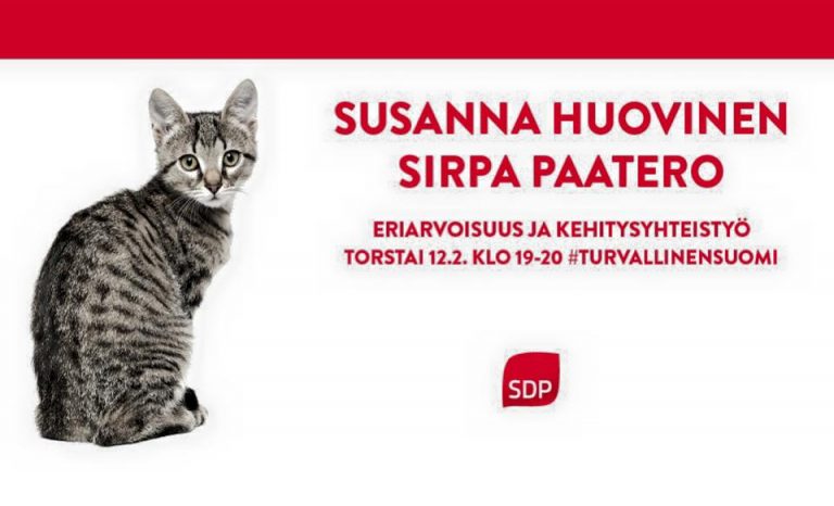 Nostetaan kissa pöydälle