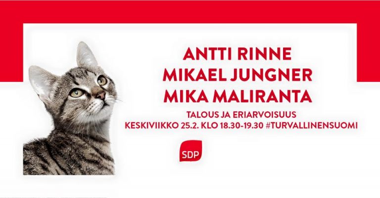 Nostetaan kissa pöydälle