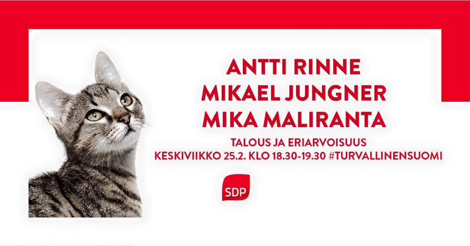 Nostetaan kissa pöydälle