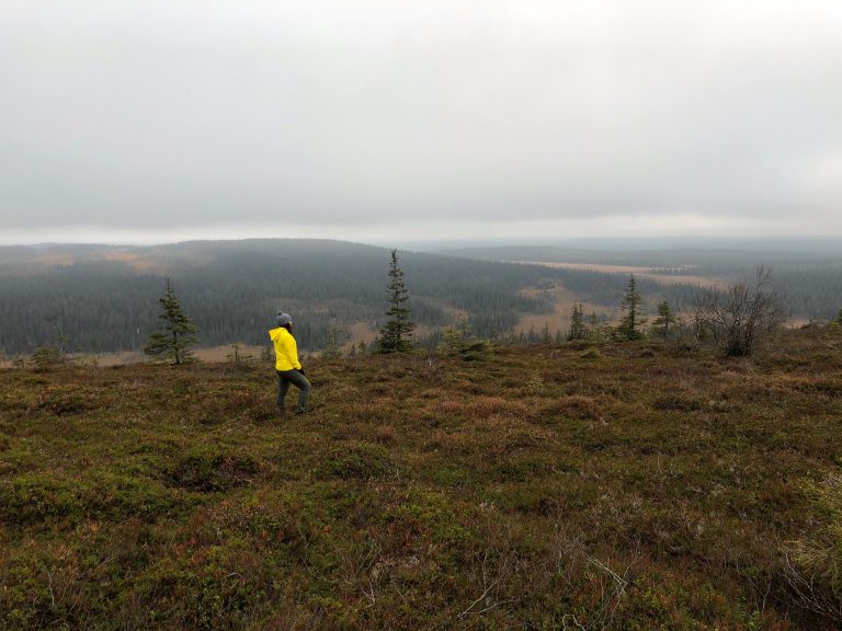 Rohkeutta luopua