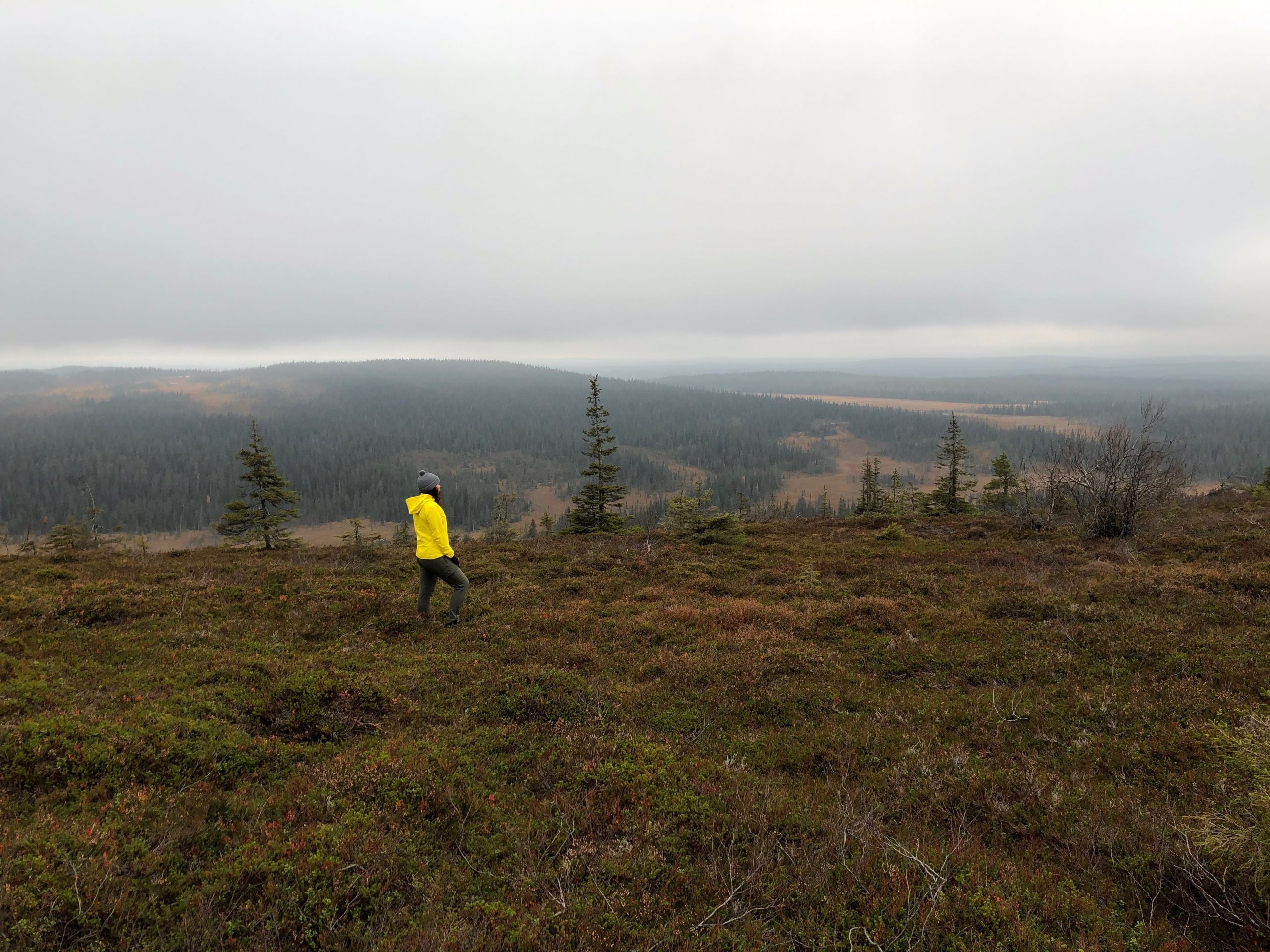 Rohkeutta luopua