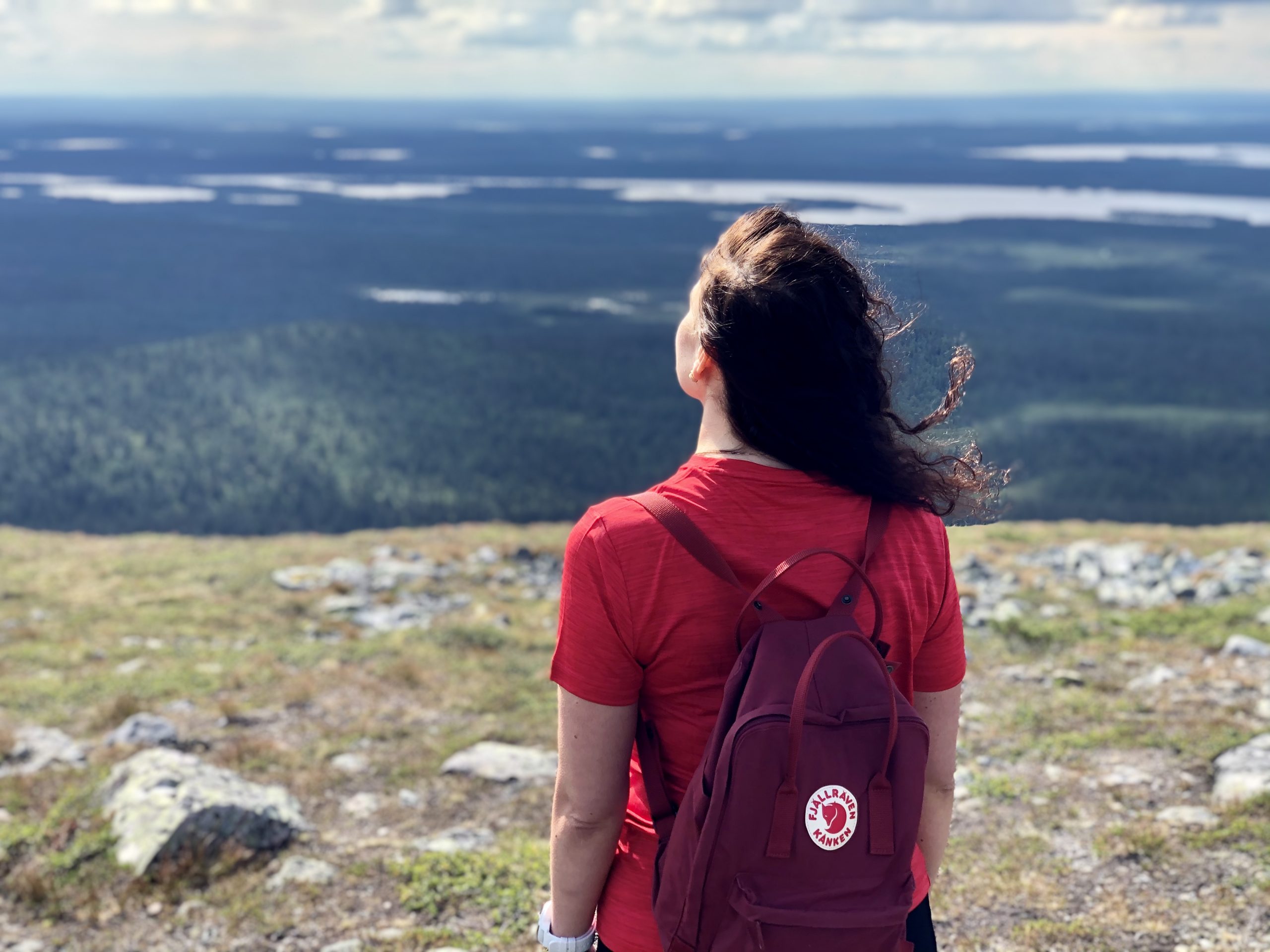 Suomi pärjää luottamalla kansalaisiinsa, sisuun ja yhdessä tekemiseen.     Hyvää itsenäisyyspäivää!