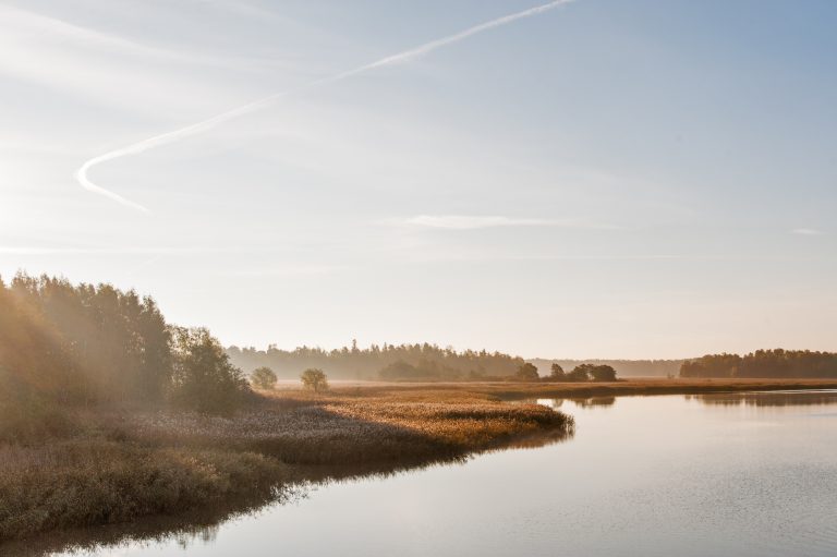 Itsenäisen Suomen menestyksen tae tulevaisuudessakin on se, että meistä jokainen osallistuu yhteiskunnan rakentamiseen omalla panoksellaan